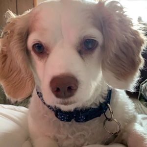 Meet your Posher, Kaitlyn